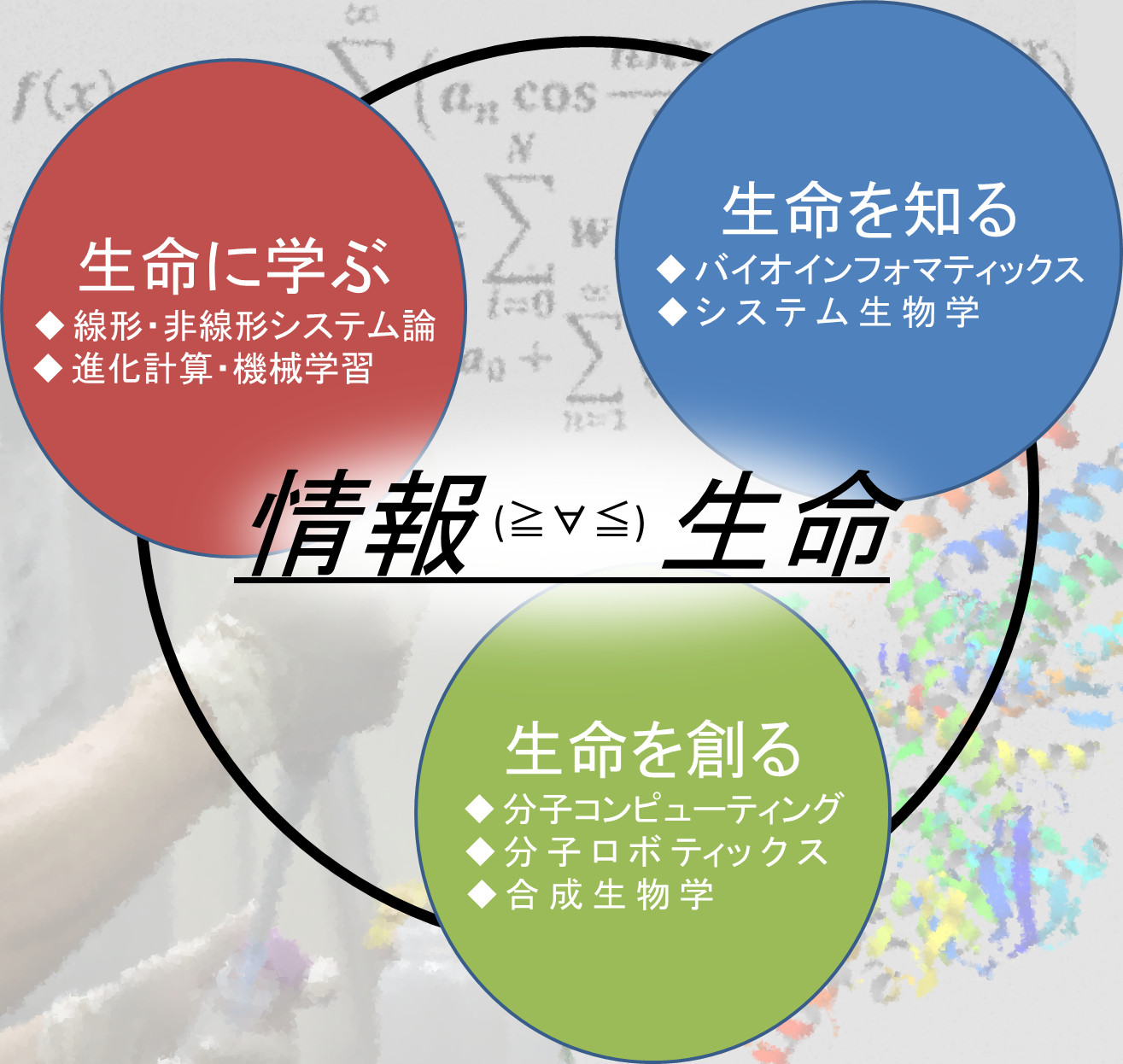 進化システム分野キーワード