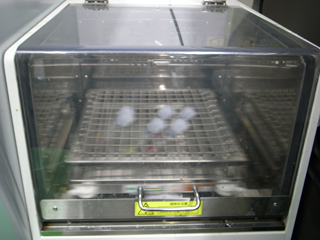 生物実験室