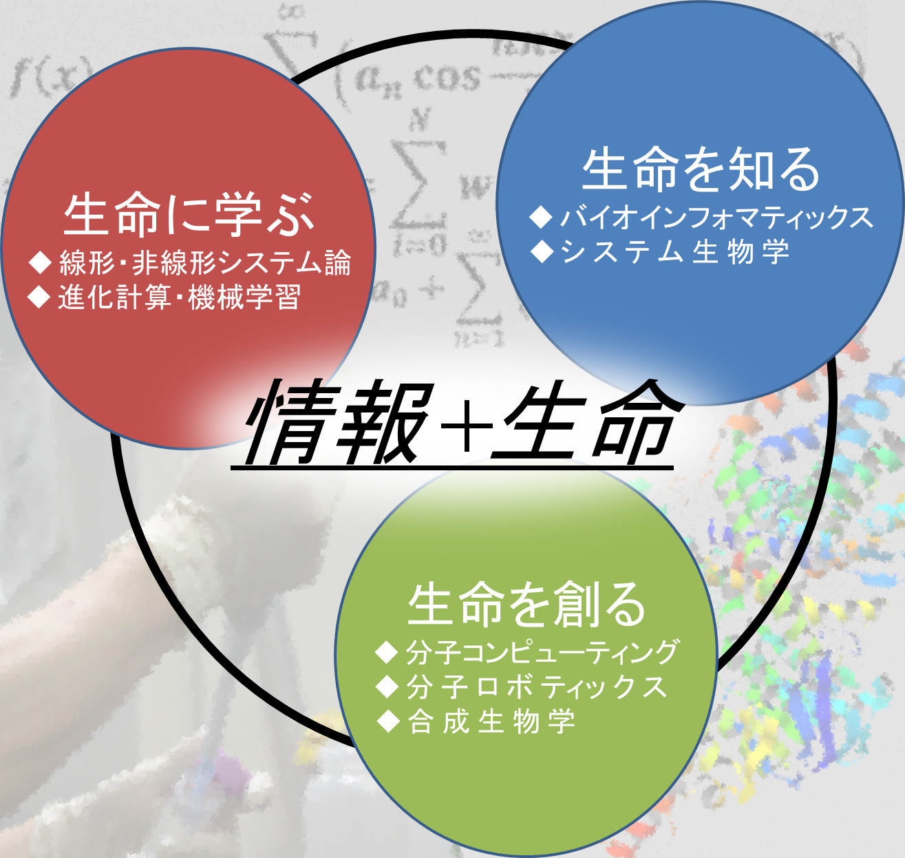 進化システム分野キーワード